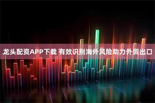 龙头配资APP下载 有效识别海外风险助力外贸出口